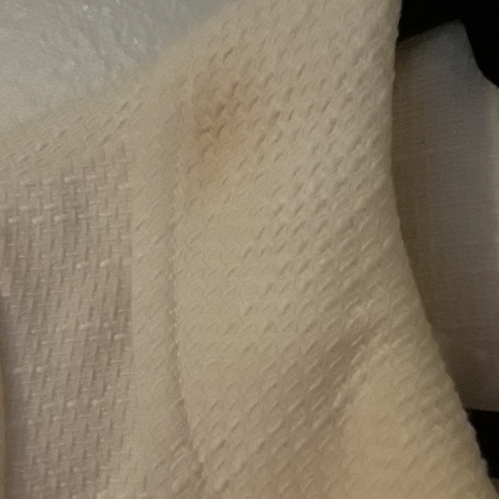 Ivory Ann Taylor Loft blazer - Picture 4 of 6